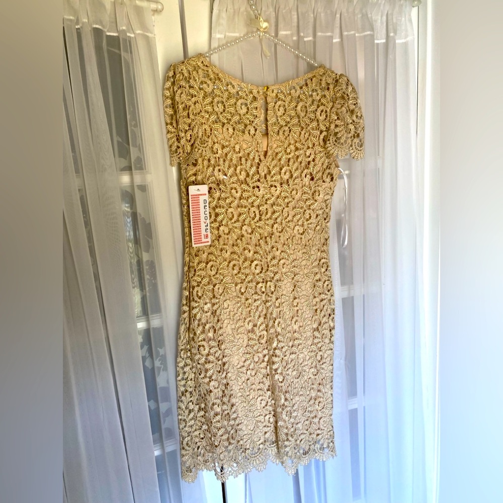Betsy & Adam Dress with  lace. Size: 6